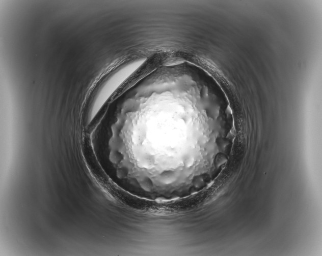 X0000085070634200703191302