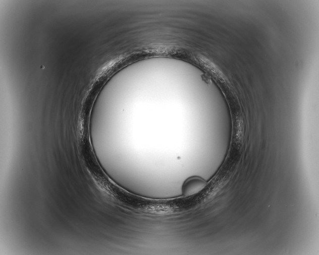 X0000085070636200703191302