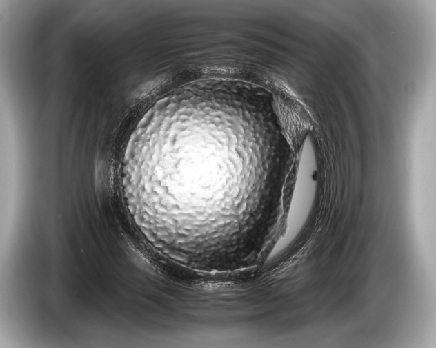 X0000085070637200703191302