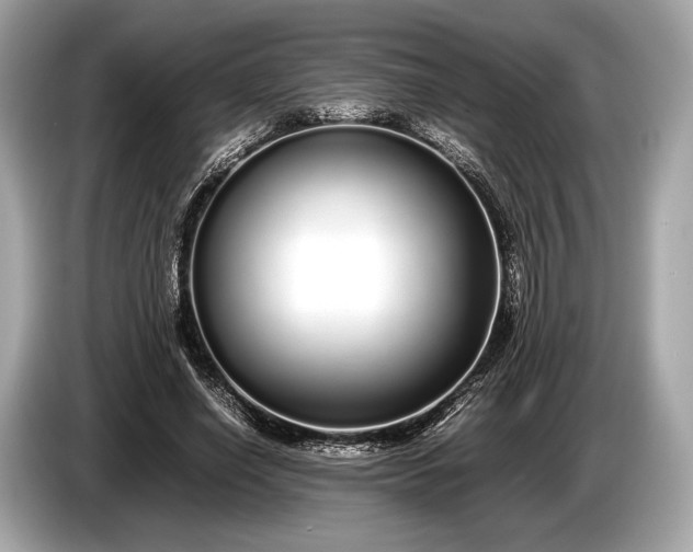 X0000085070638200703191302