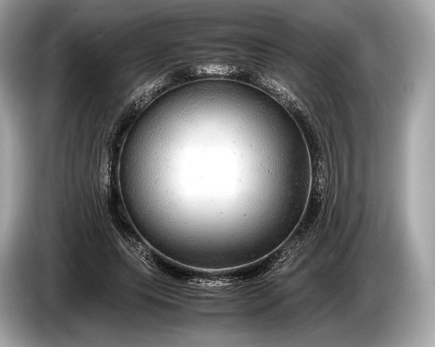 X0000085070639200703191302