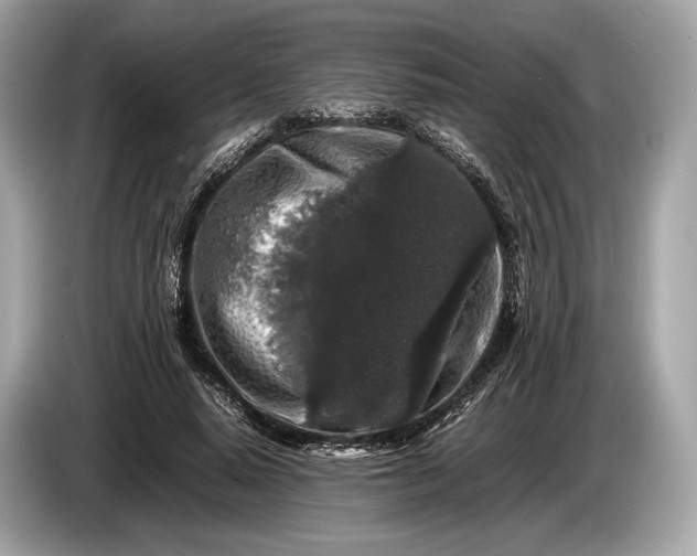 X0000085070640200703191302