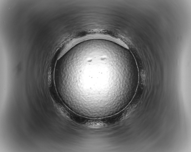 X0000085070642200703191302