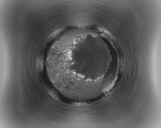 X0000085070644200703191302