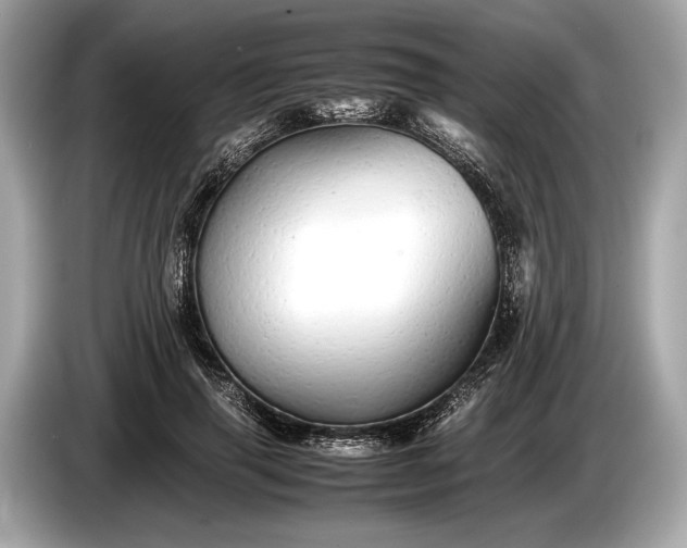 X0000085070645200703191302