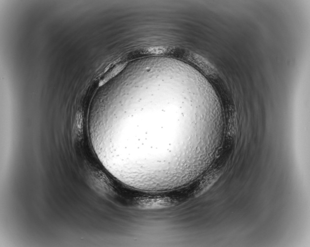 X0000085070646200703191302