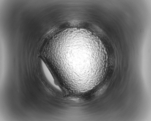 X0000085070648200703191302