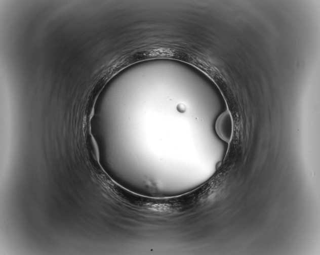 X0000085070649200703191302