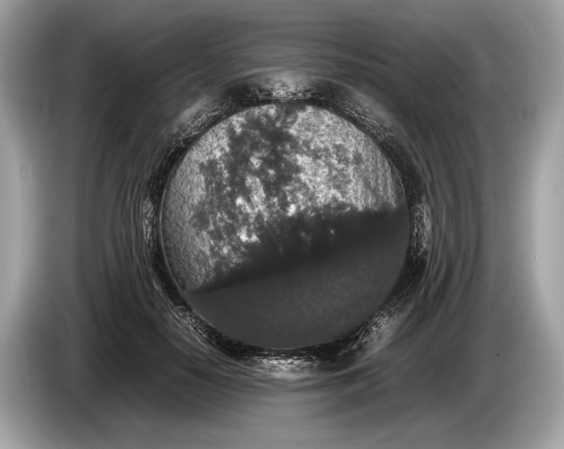 X0000085070650200703191302