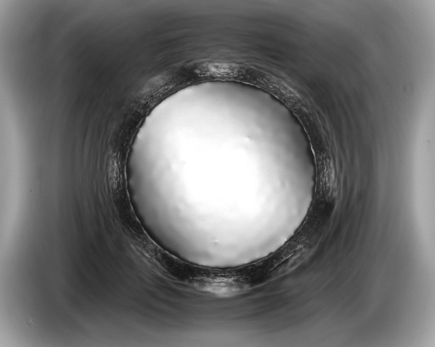 X0000085070651200703191302