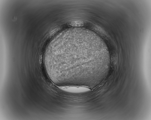 X0000085070652200703191302