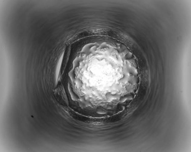 X0000085070653200703191302