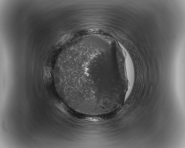 X0000085070654200703191302