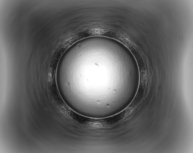 X0000085070655200703191302