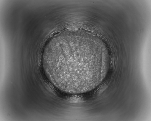 X0000085070656200703191302