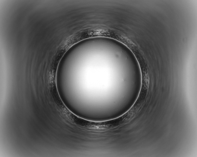 X0000085070657200703191302