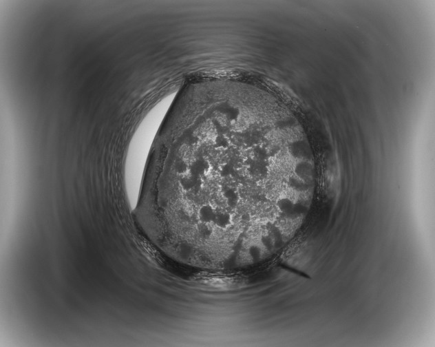 X0000085070658200703191303