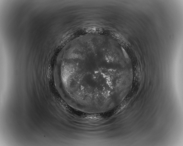 X0000085070659200703191303