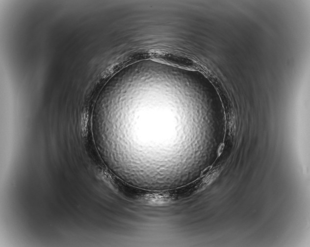 X0000085070660200703191303