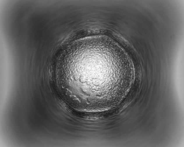 X0000085070661200703191303