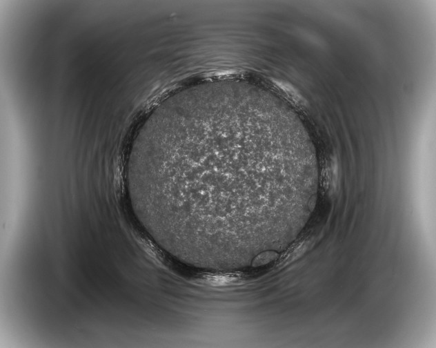 X0000085070662200703191303