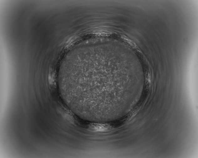 X0000085070663200703191303