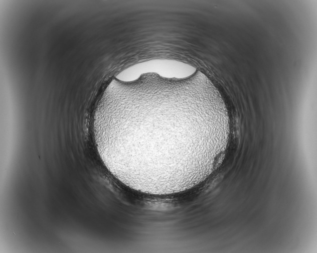 X0000085070664200703191303