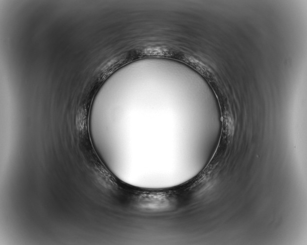 X0000085070665200703191303