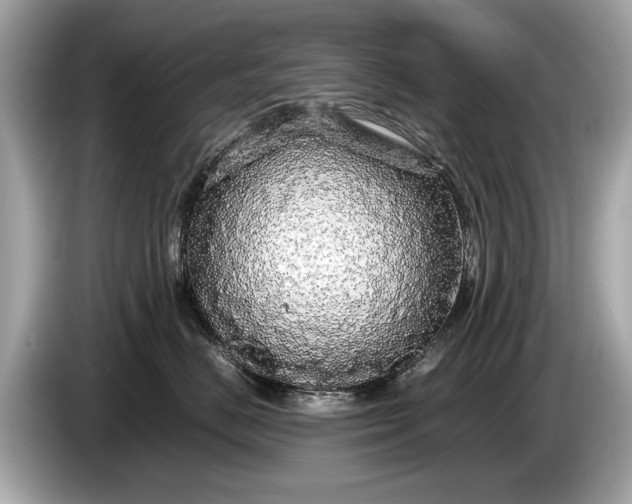 X0000085070670200703191303