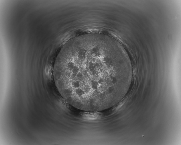 X0000085070671200703191303