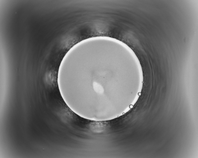 X0000085070672200703191303