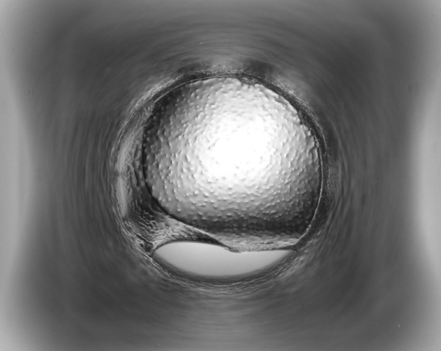 X0000085070673200703191302