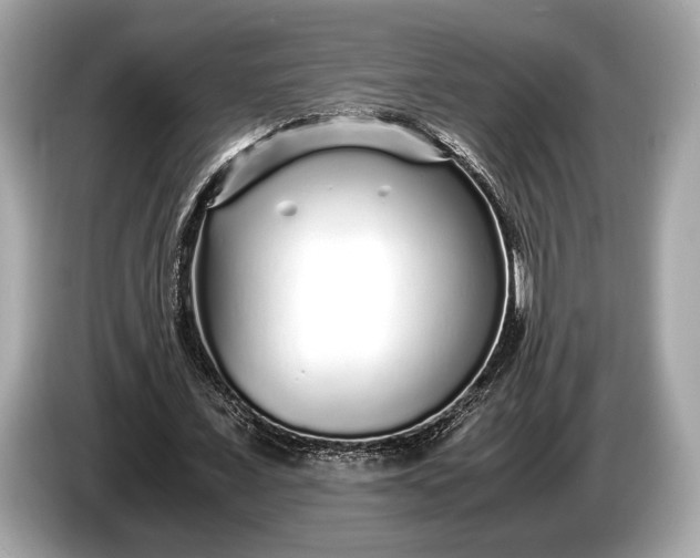 X0000085070675200703191302