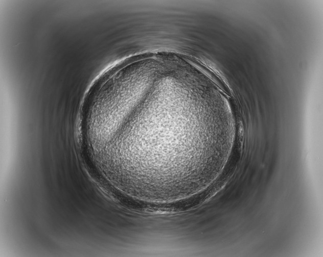 X0000085070676200703191302