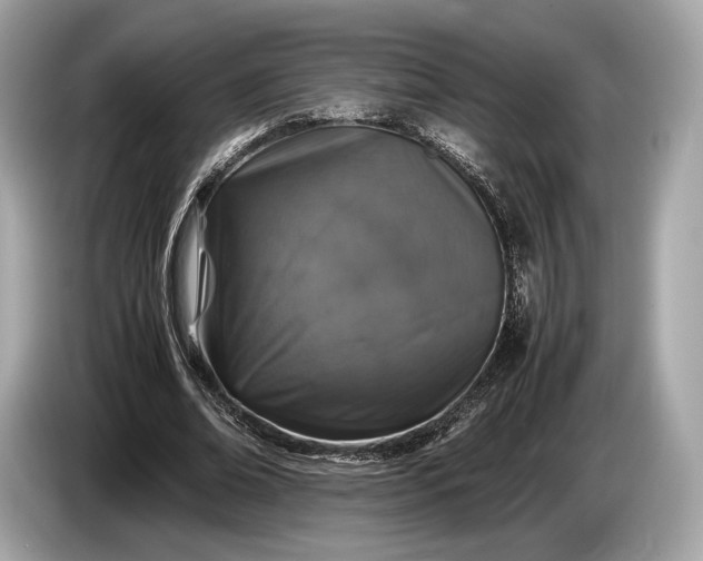 X0000085070678200703191302