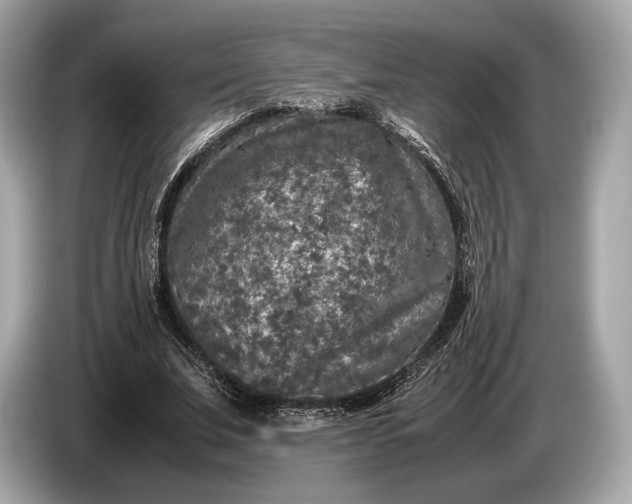 X0000085070679200703191302