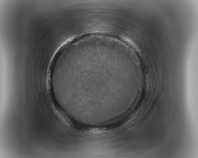 X0000085070680200703191302