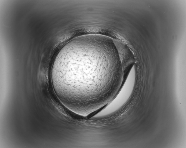 X0000085070681200703191302