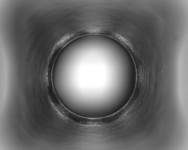 X0000085070682200703191302