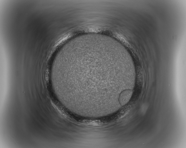 X0000085070683200703191302