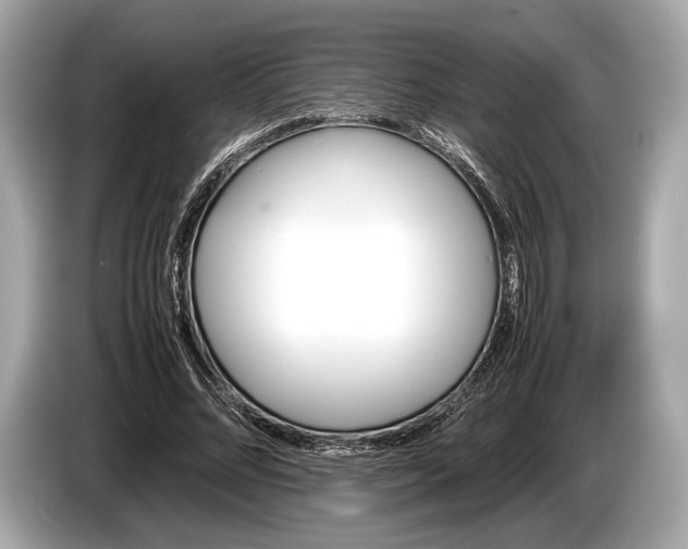 X0000085070684200703191302