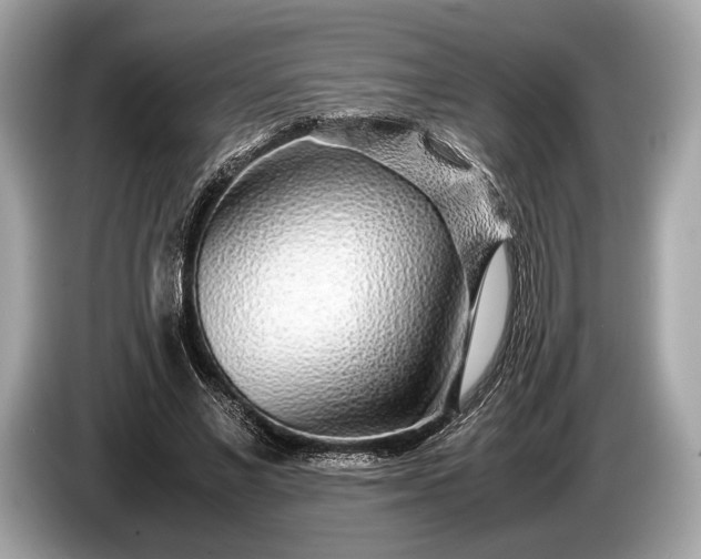 X0000085070685200703191302