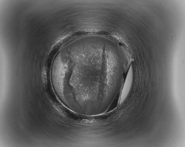 X0000085070688200703191302