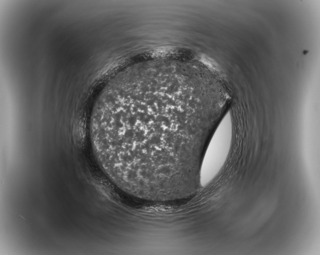 X0000085070691200703191302