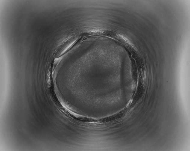 X0000085070692200703191302