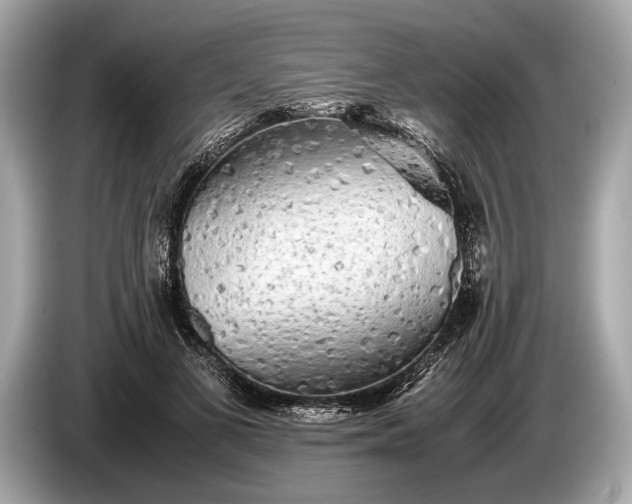 X0000085070693200703191302