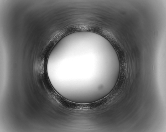 X0000085070694200703191302