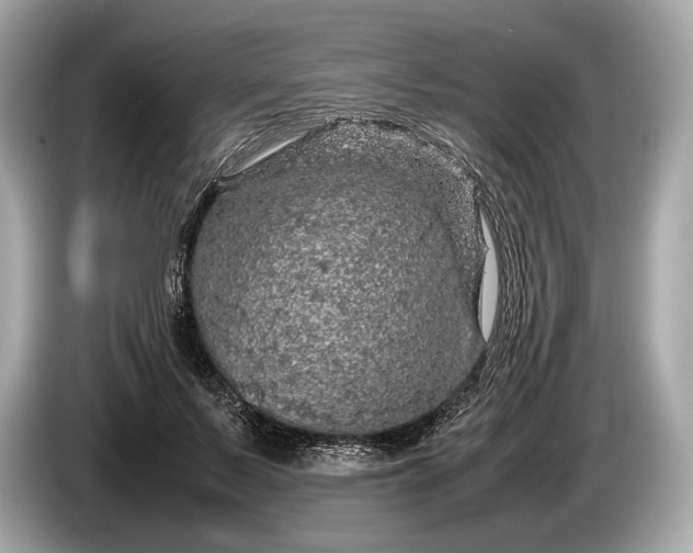 X0000085070695200703191302