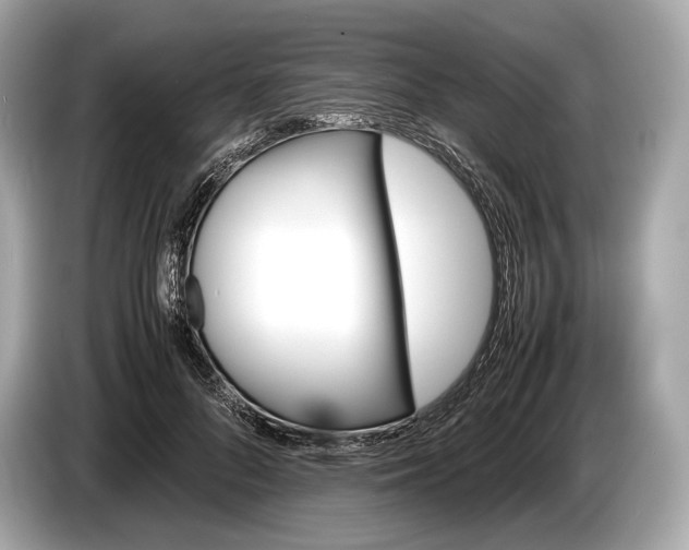 X0000085070696200703191302