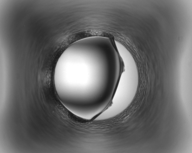 X0000085070697200703191302